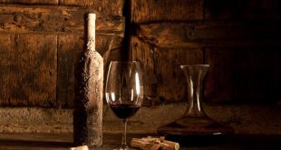 Wein als Wertanlage: Ein smartes Investment nach Top-Sommelier Rakhshan Zhouleh - copyright: Michael Stephan