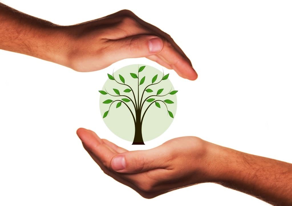 Bio-Trend hält an: Die Branche boomt, denn nachhaltiger Konsum liegt im Trend! - copyright: pixabay.com