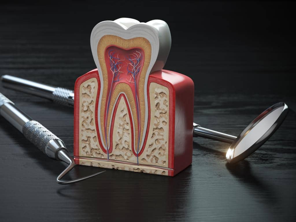 Vorbeugen durch richtige Pflege der Zähne copyright: Envato / maxxyustas
